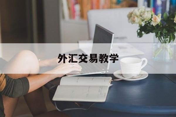 外汇交易教学(外汇交易教学视频)