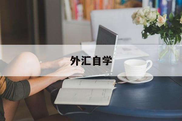 外汇自学(外汇初学者)